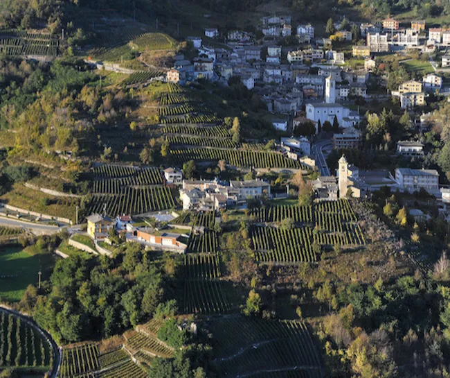 Immagine Evento Prossimamente a Castione Andevenno | Calendario Valtellinese