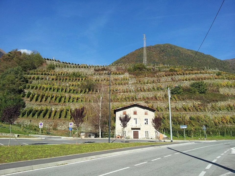 Immagine Evento Prossimamente a Chiuro | Calendario Valtellinese