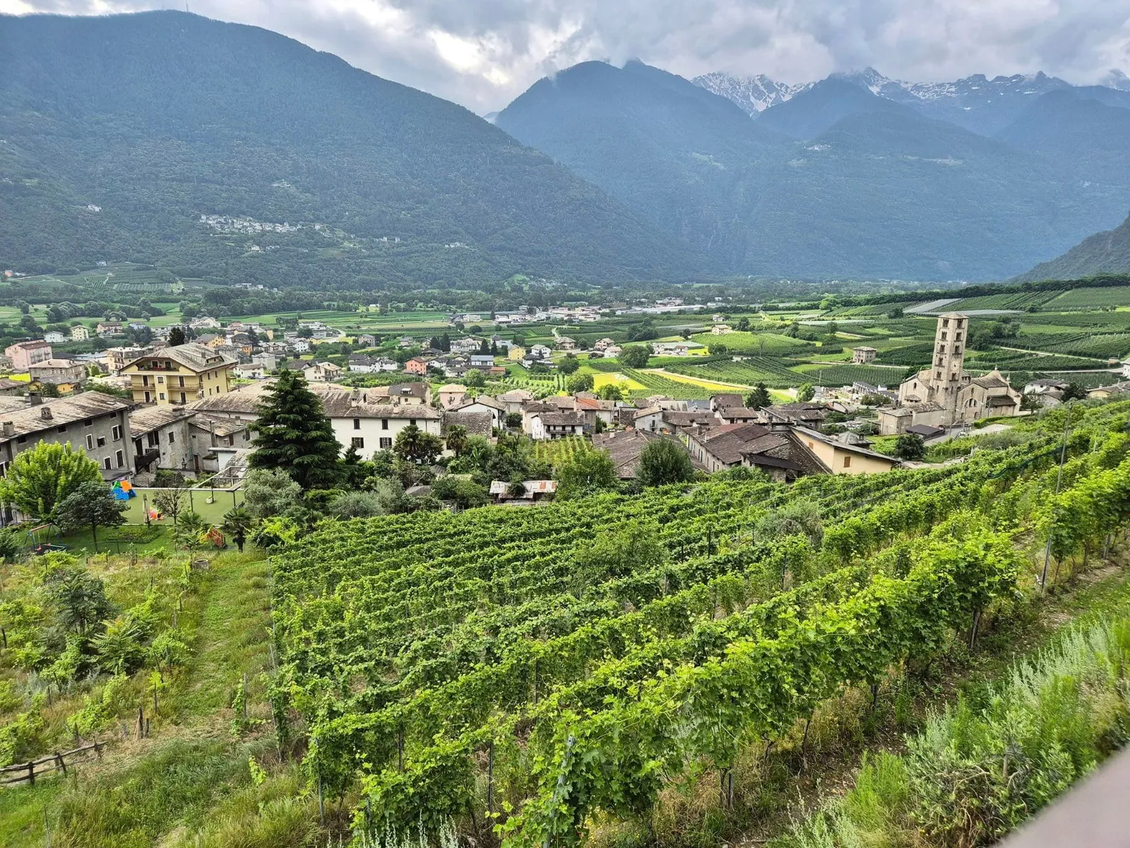 Immagine Evento Prossimamente a Bianzone | Calendario Valtellinese