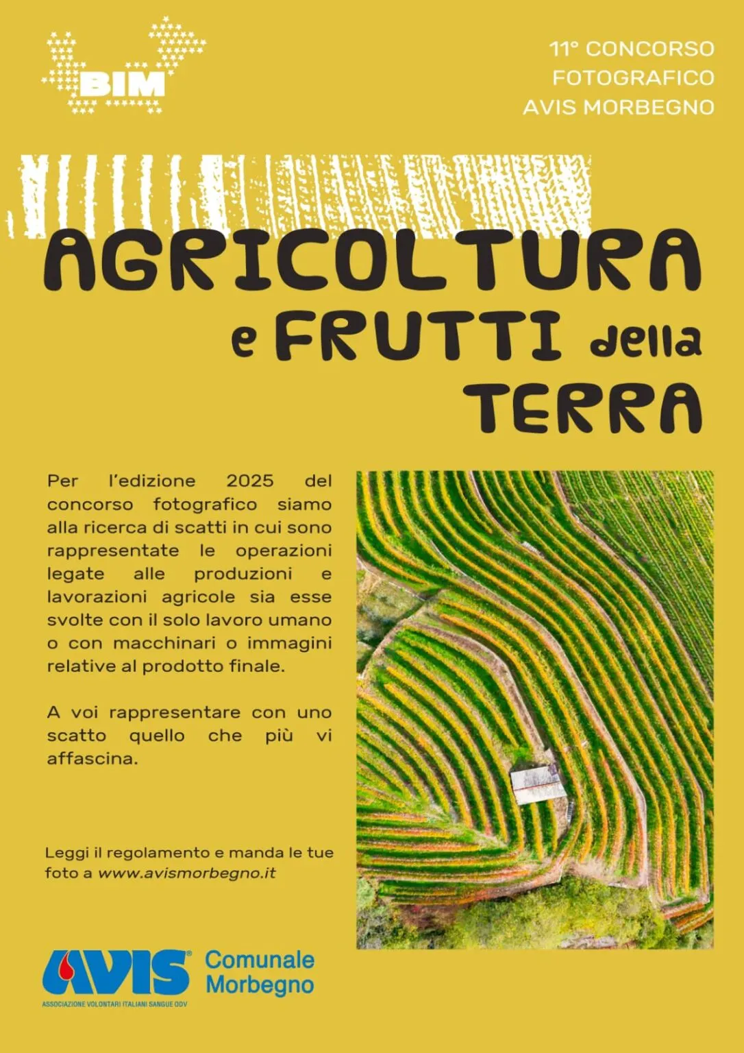Immagine Evento Concorso fotografico AVIS Morbegno | Calendario Valtellinese