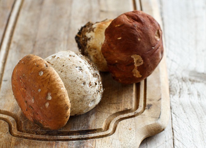 Immagine Evento Weekend dei funghi | Calendario Valtellinese