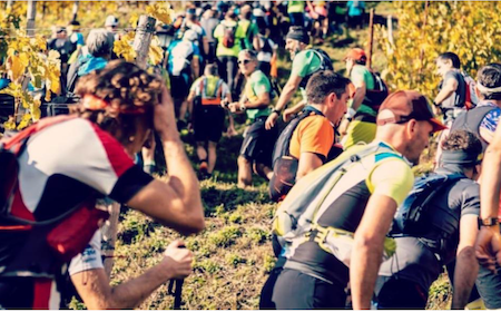 Immagine Evento Valtellina Wine Trail | Calendario Valtellinese