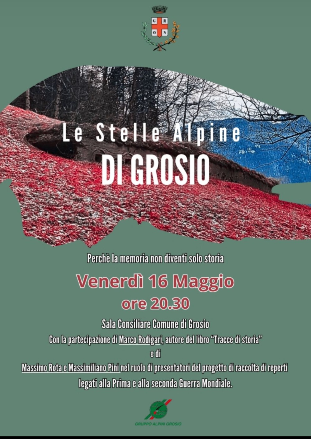 Immagine Evento Le Stelle Alpine di Grosio | Calendario Valtellinese