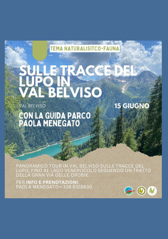 Immagine Evento Sulle tracce del lupo in Val Belviso | Calendario Valtellinese