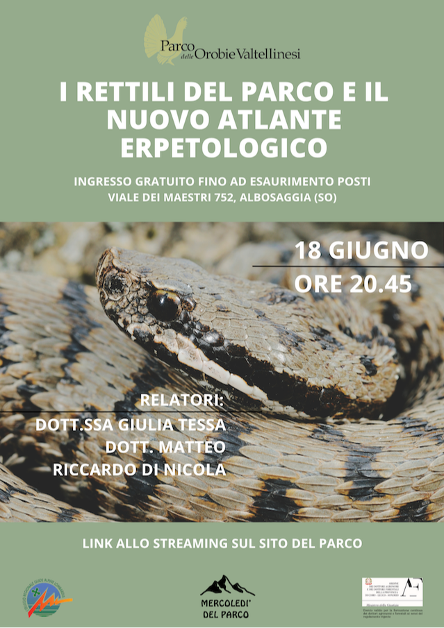 Immagine Evento I rettili del Parco e il nuovo Atlante erpetologico | Calendario Valtellinese
