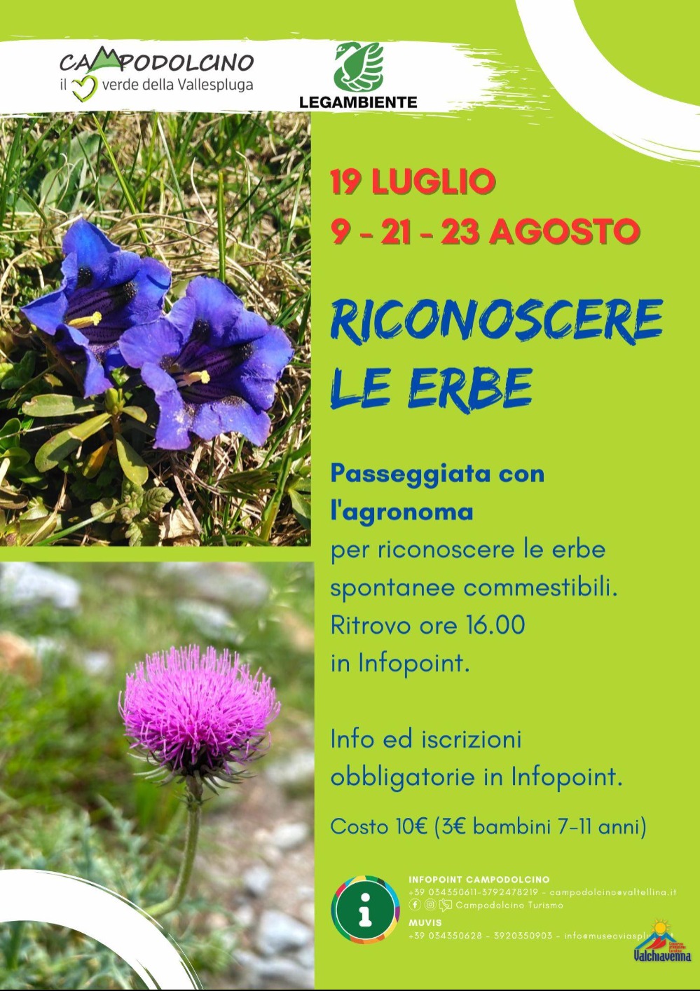 Immagine Evento Riconoscere le Erbe | Calendario Valtellinese