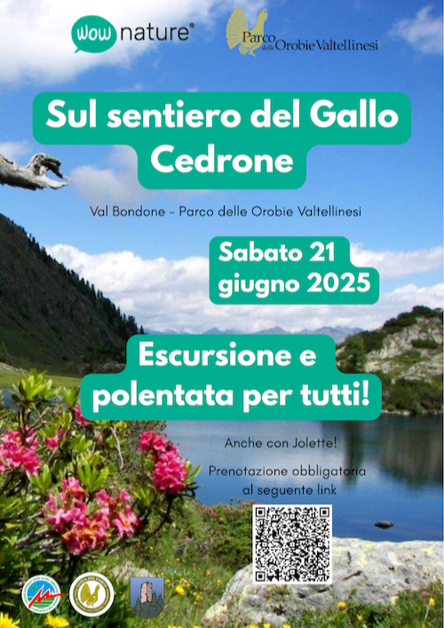Immagine Evento Sul sentiero del gallo cedrone | Calendario Valtellinese