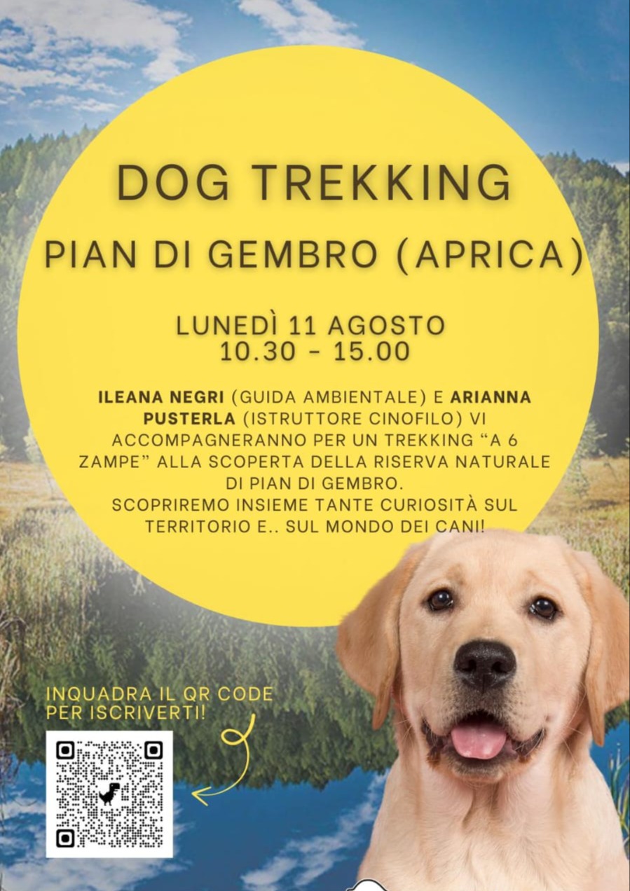 Immagine Evento Dog trekking | Calendario Valtellinese
