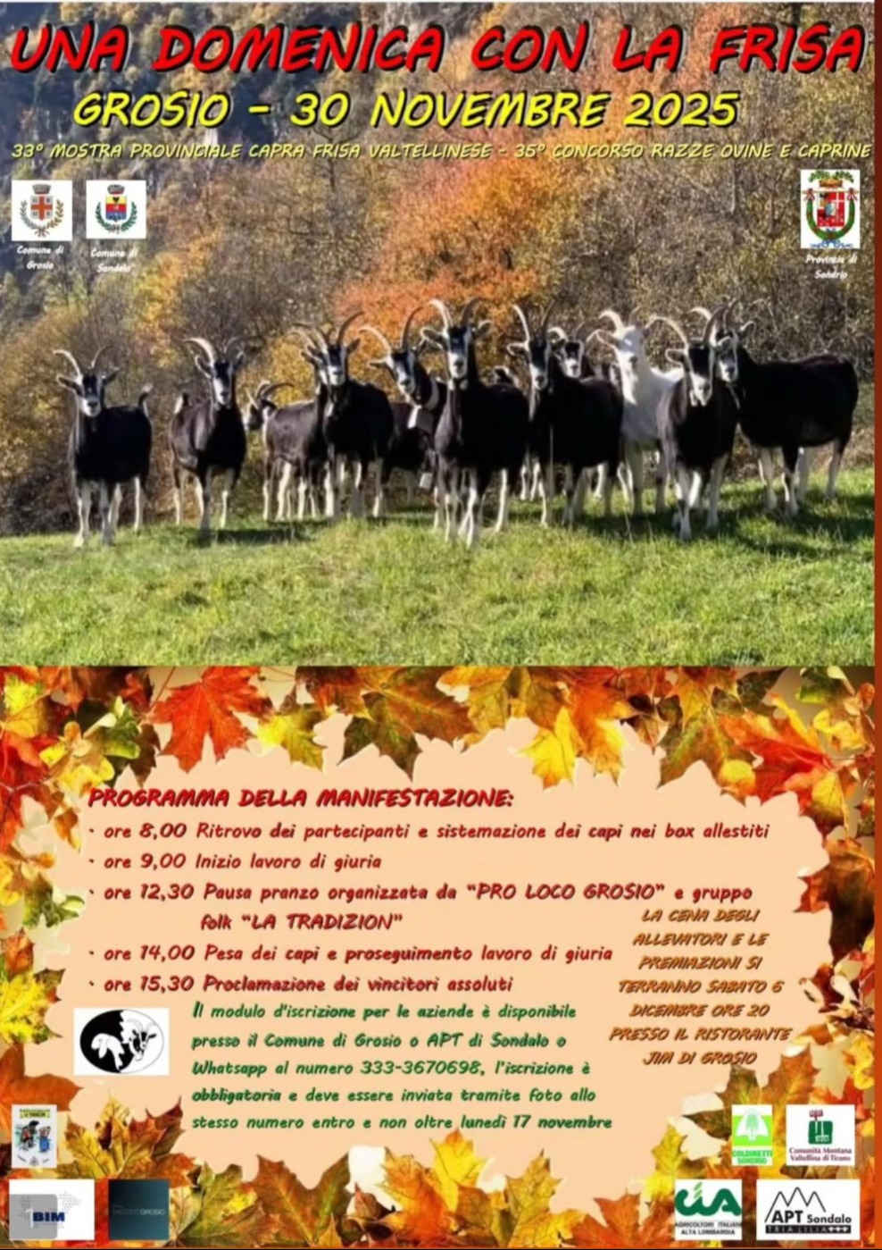 Immagine Evento Una domenica con la Frisa | Calendario Valtellinese