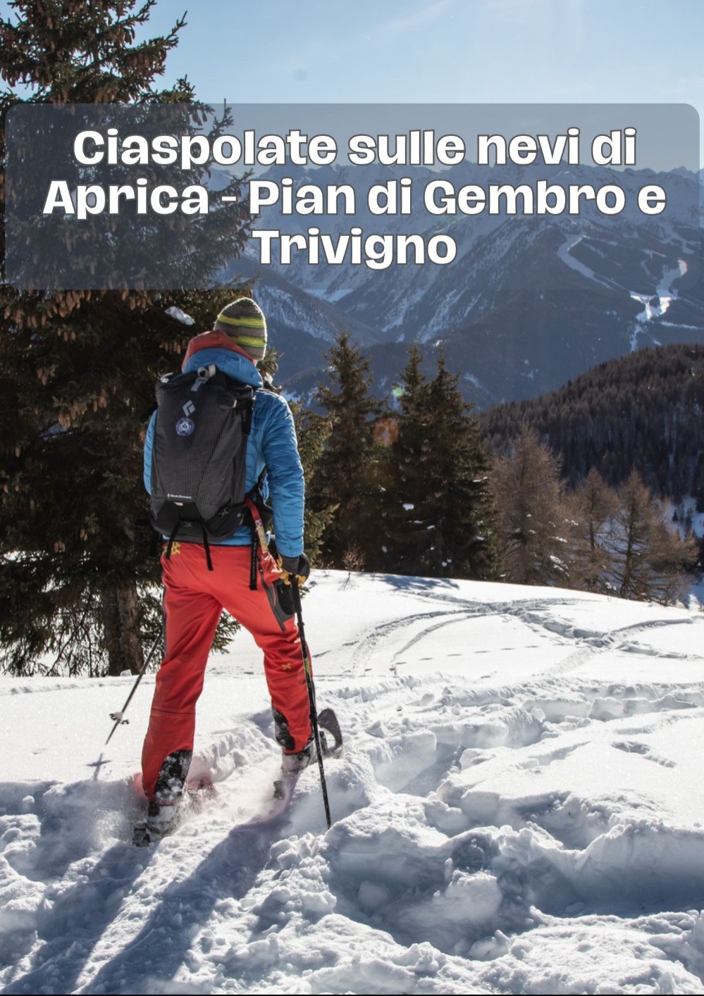 Immagine Evento Ciaspolate sulle nevi di Aprica - Pian di Gembro e Trivigno | Calendario Valtellinese
