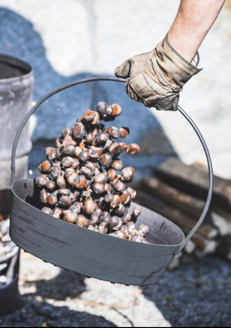 Immagine Evento Sagra della castagna | Calendario Valtellinese