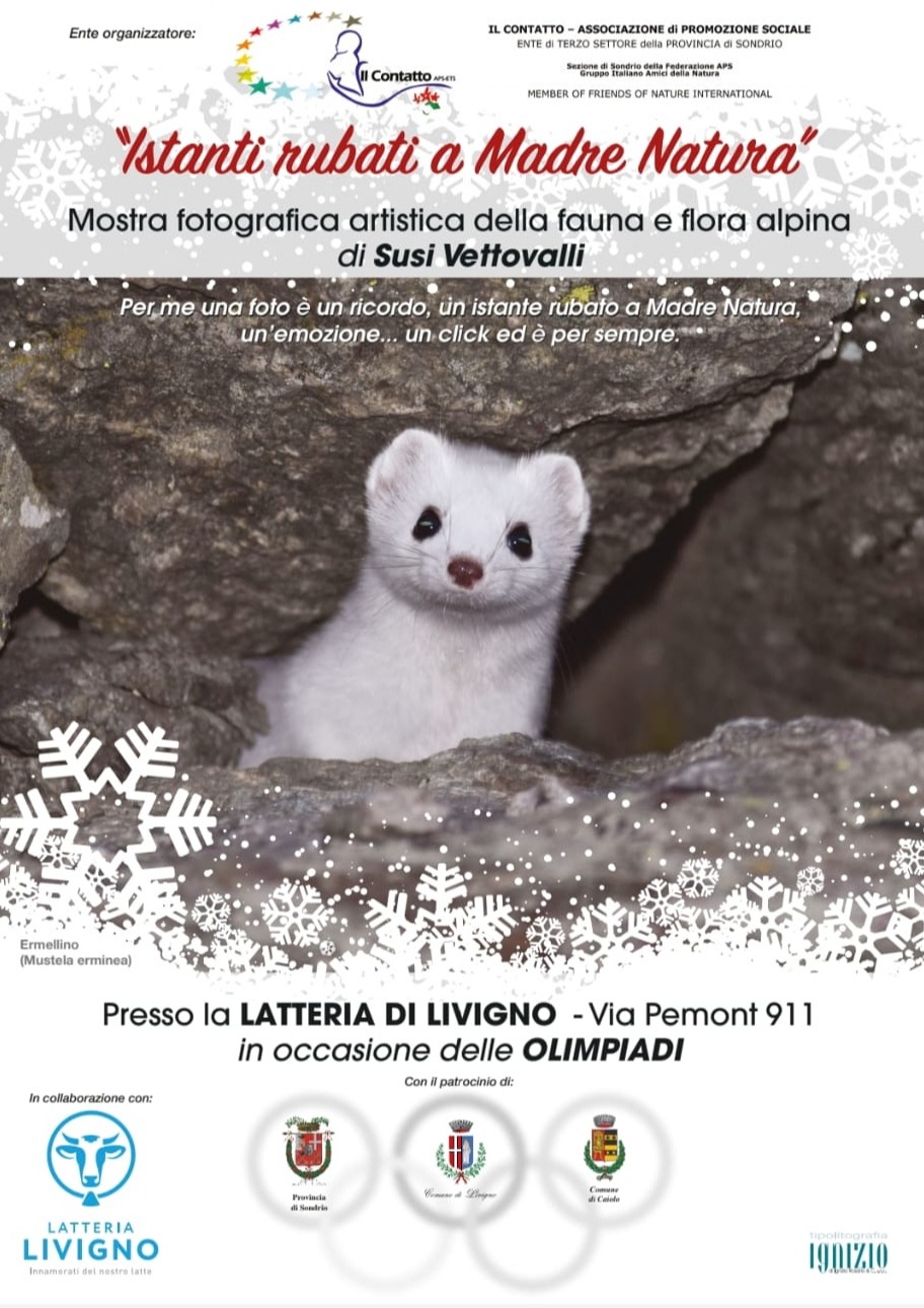 Immagine Evento Mostra fotografica "Istanti rubati a Madre Natura" | Calendario Valtellinese