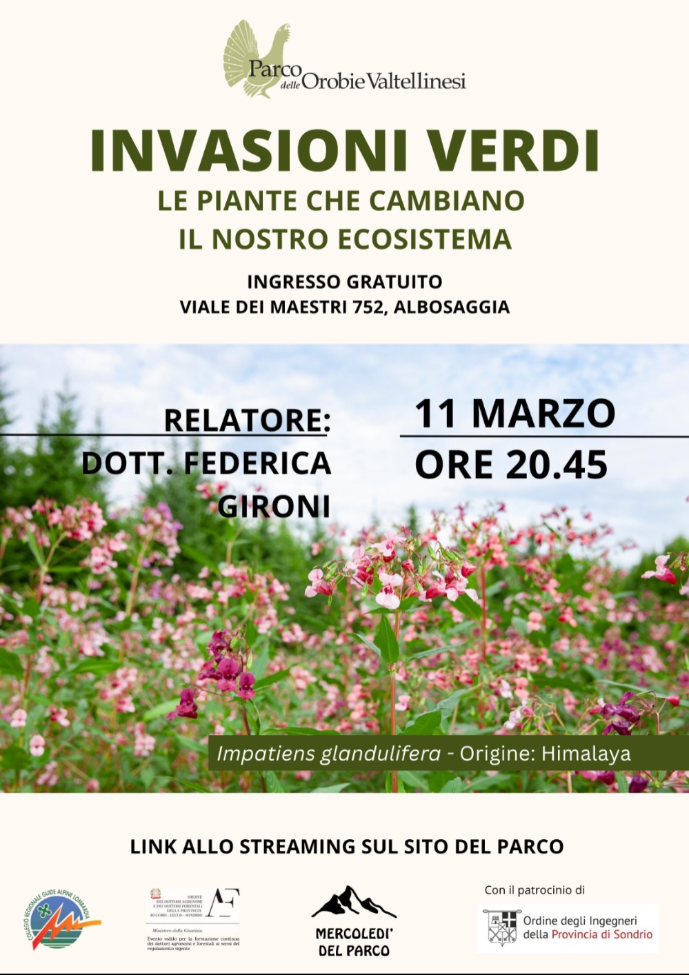 Immagine Evento Invasioni Verdi | Calendario Valtellinese