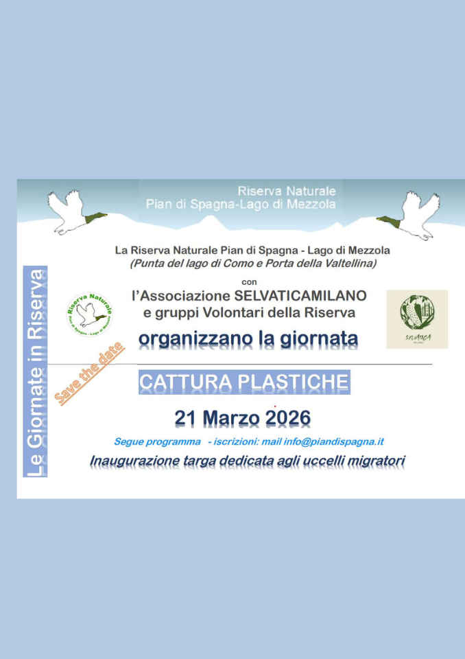 Immagine Evento Cattura Plastiche | Calendario Valtellinese
