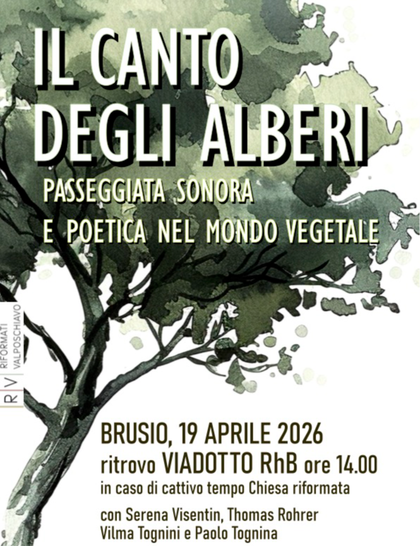 Immagine Evento Il canto degli alberi | Calendario Valtellinese