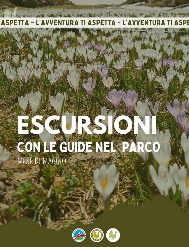 Immagine Evento Escursioni con le Guide nel Parco | Calendario Valtellinese