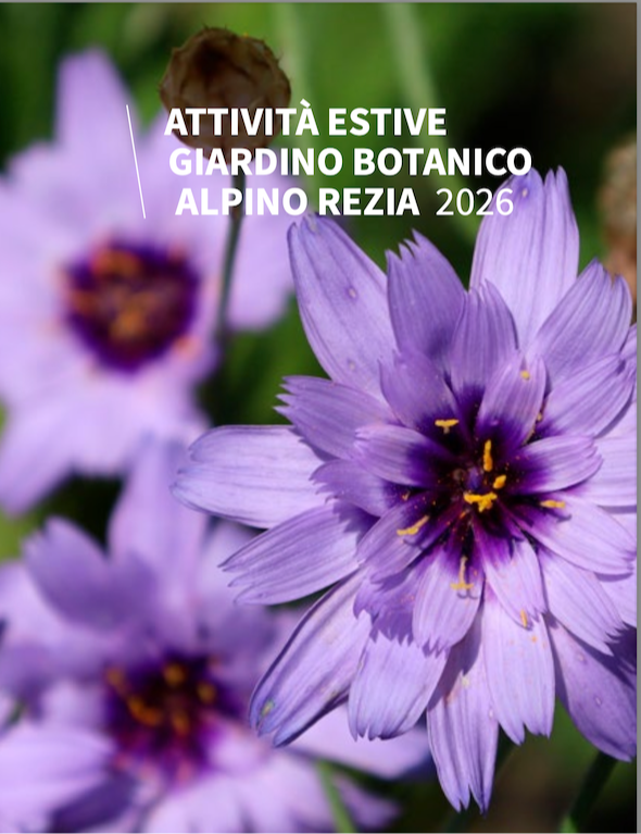 Immagine Evento Attività estive del Giardino Botanico Alpino Rezia | Calendario Valtellinese