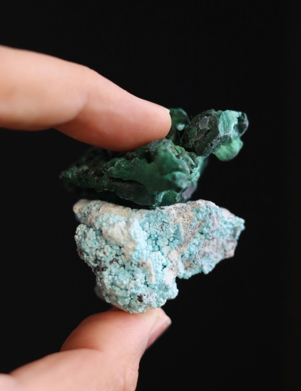 Immagine Evento Attività estive IVM | Calendario Valtellinese