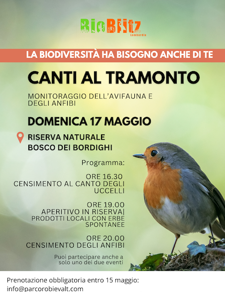 Immagine Evento Canti al tramonto al Bosco dei Bordighi | Calendario Valtellinese