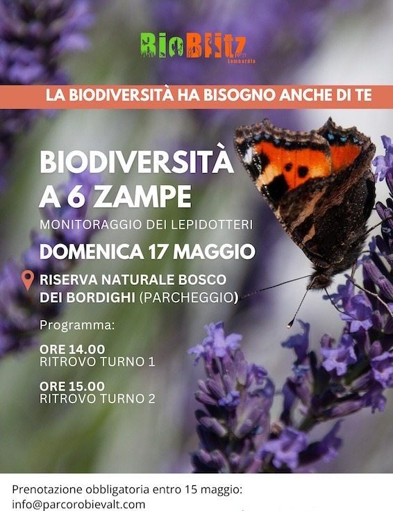 Immagine Evento Biodiversità a 6 zampe al Bosco dei Bordighi | Calendario Valtellinese