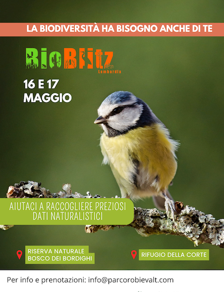 Immagine Evento BioBlitz Lombardia tra Bosco dei Bordighi e Rifugio della Corte | Calendario Valtellinese