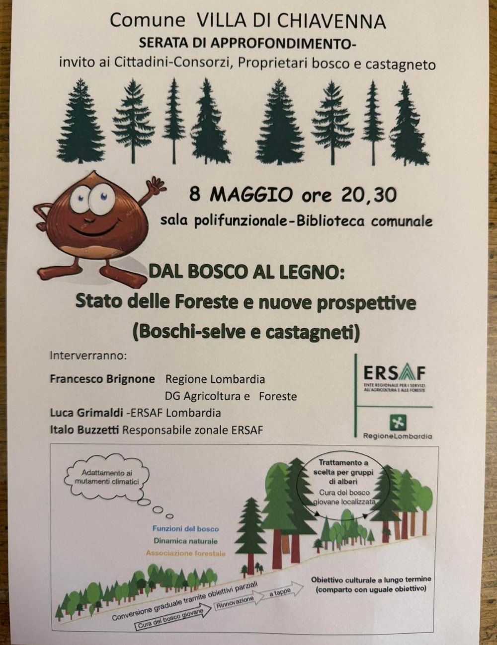 Immagine Evento Dal bosco al legno | Calendario Valtellinese