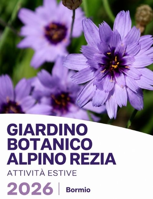 Immagine Evento Attività estive del Giardino Botanico Alpino Rezia | Calendario Valtellinese