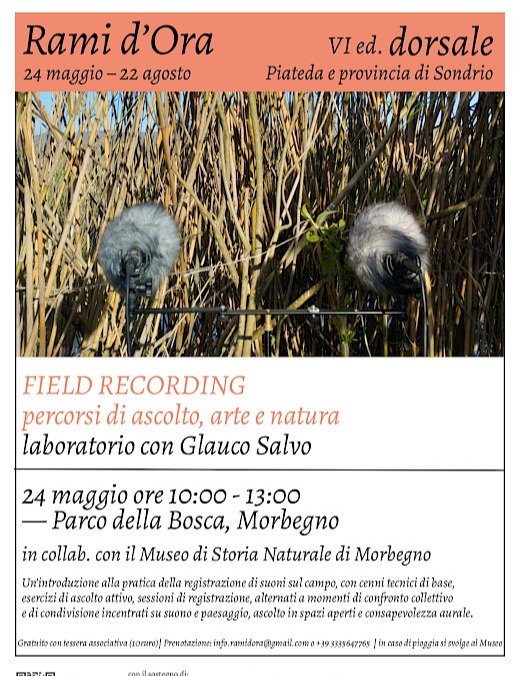 Immagine Evento Rami d’Ora – Field Recording | Calendario Valtellinese