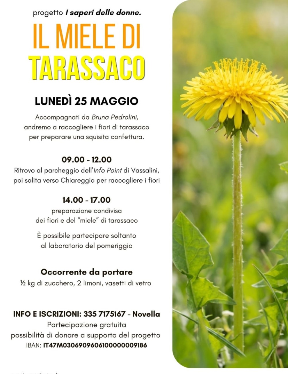 Immagine Evento Il miele di tarassaco | Calendario Valtellinese