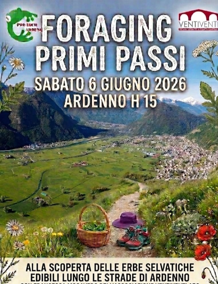 Immagine Evento Foraging Primi Passi | Calendario Valtellinese