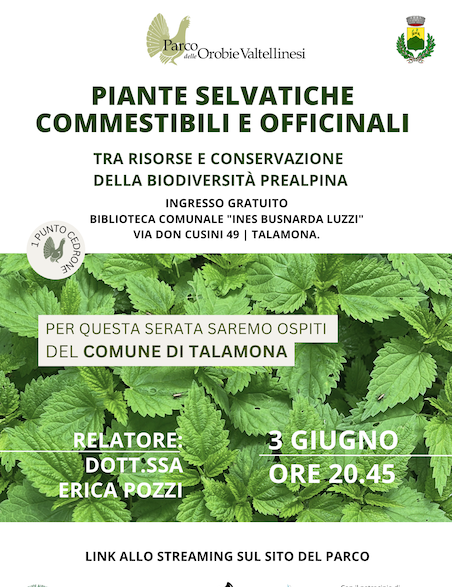 Immagine Evento Piante selvatiche commestibili e officinali | Calendario Valtellinese