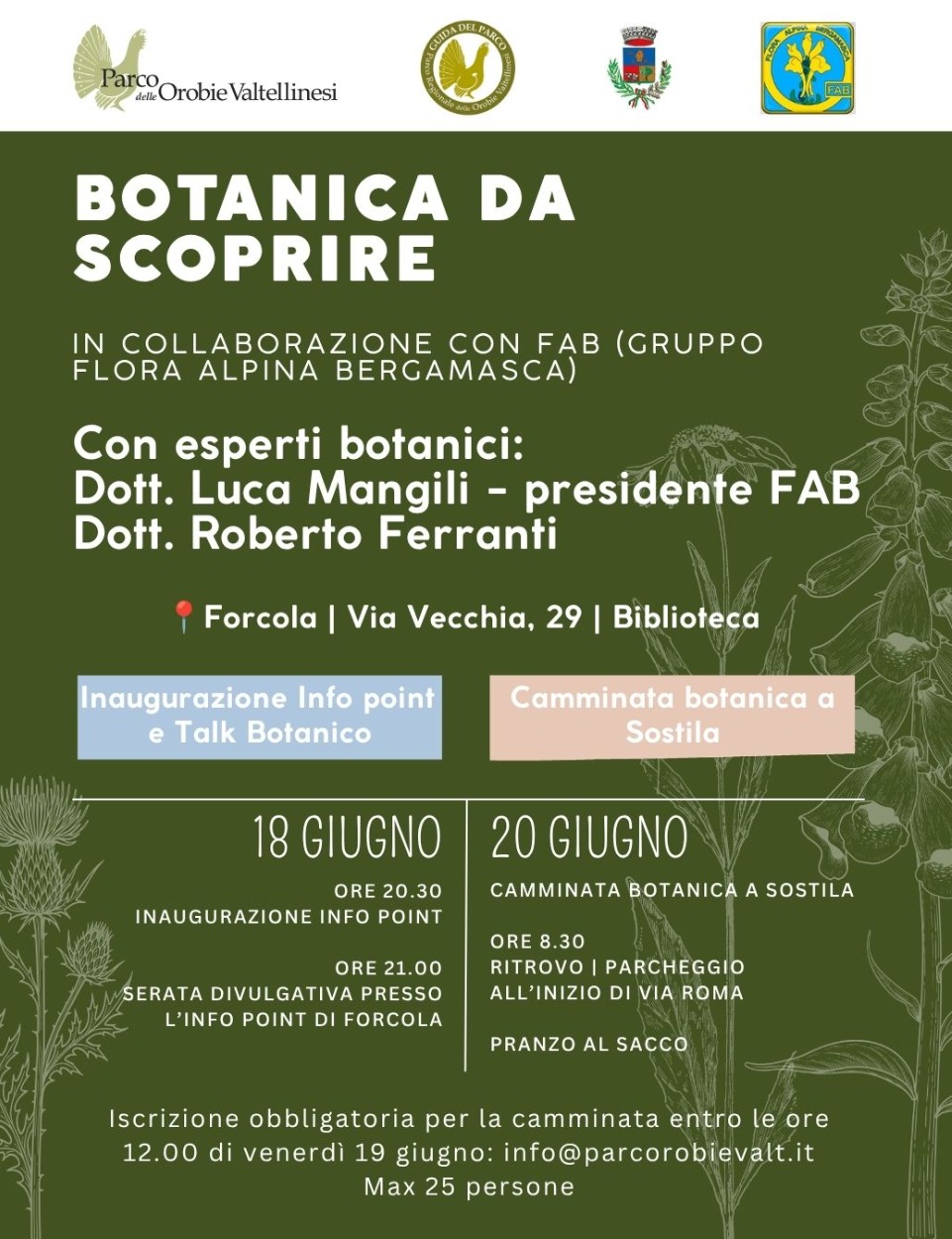Immagine Evento Botanica da scoprire | Calendario Valtellinese