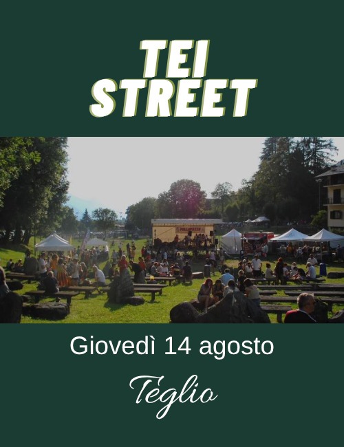 Immagine Evento Tei Street Festival | Calendario Valtellinese