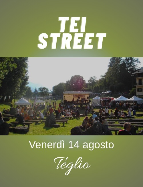 Immagine Evento Tei Street Festival | Calendario Valtellinese