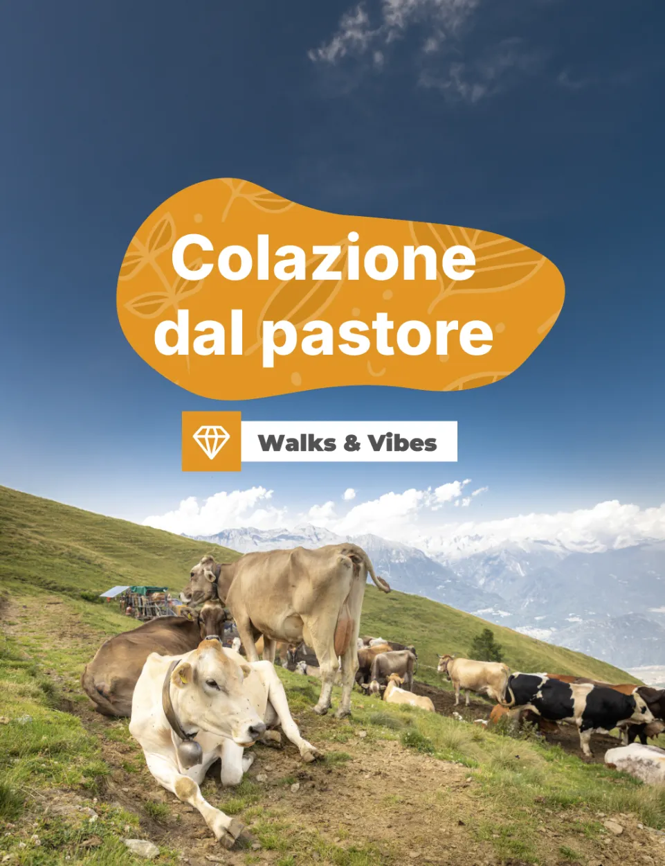 Immagine Evento Walks & Vibes – Colazione dal pastore | Calendario Valtellinese