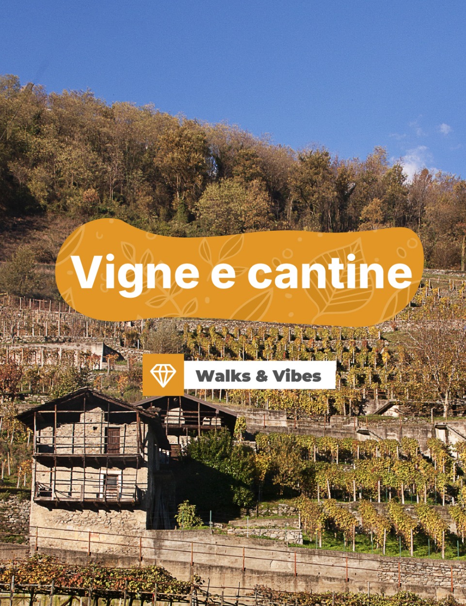 Immagine Evento Walks & Vibes – Vigne e cantine | Calendario Valtellinese