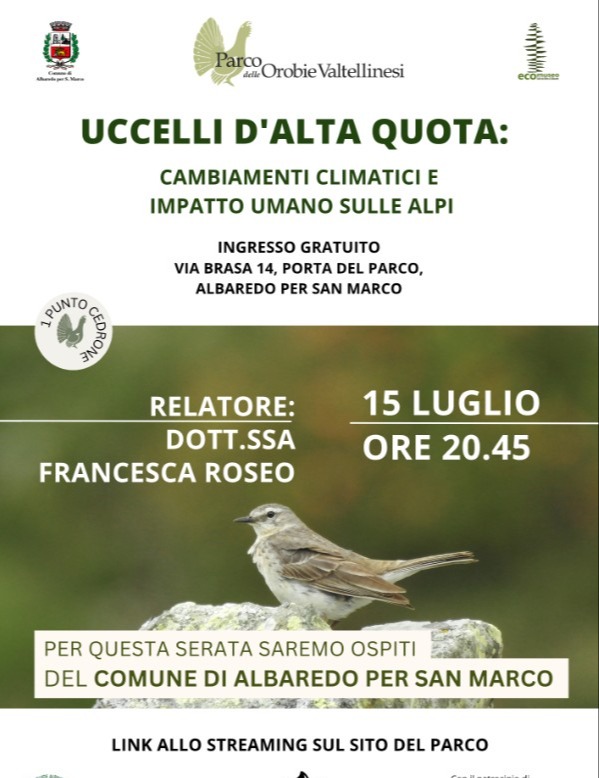 Immagine Evento Uccelli d'alta quota | Calendario Valtellinese