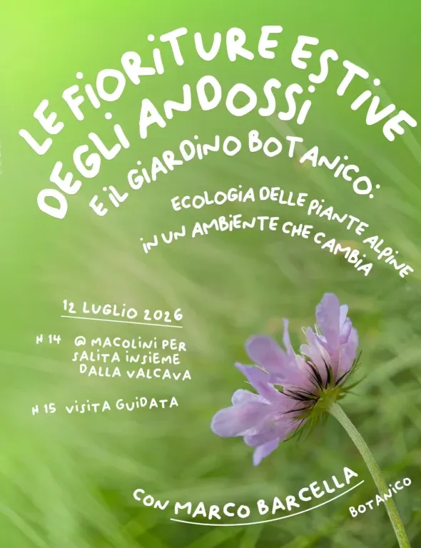 Immagine Evento Le fioriture estive degli Andossi | Calendario Valtellinese