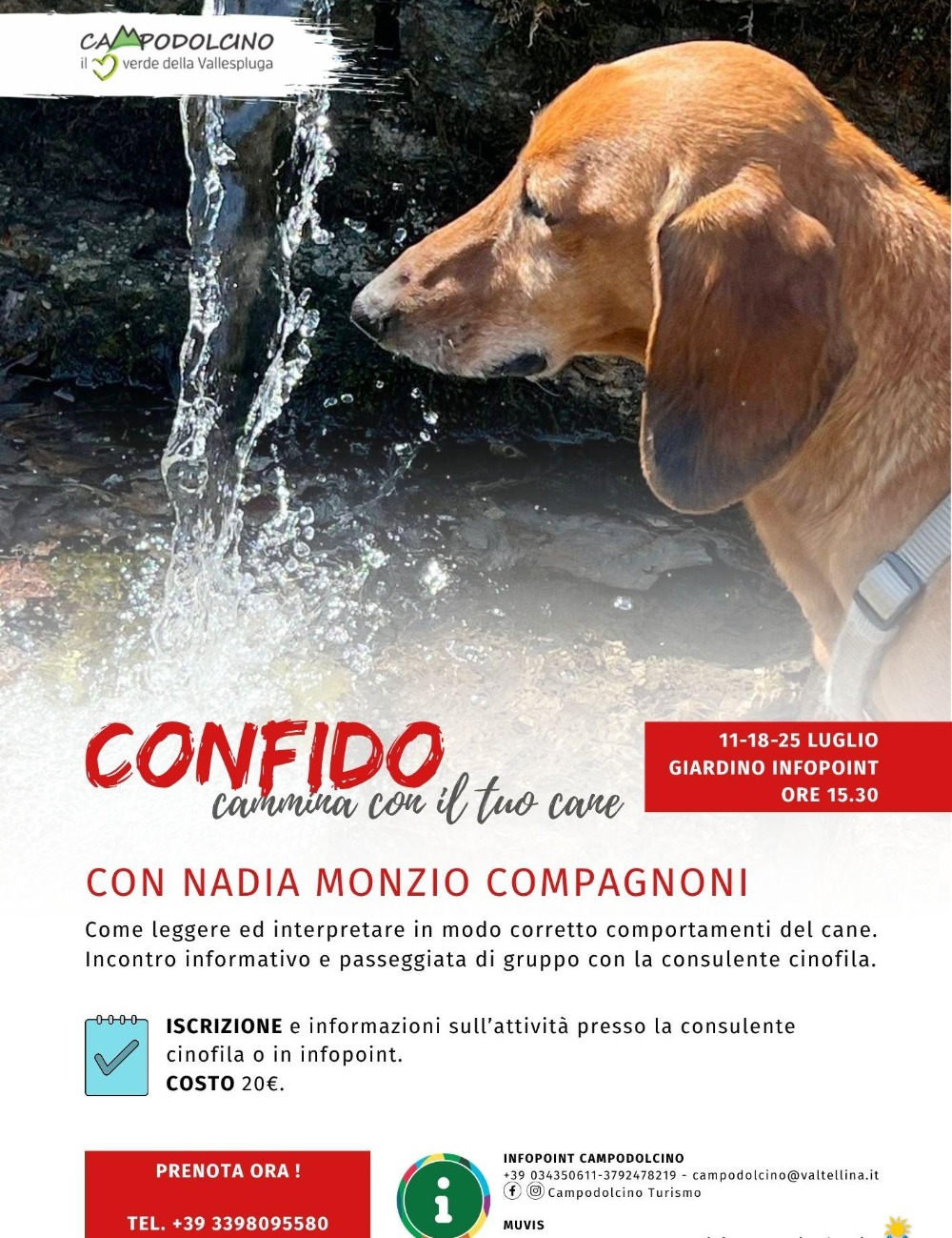 Immagine Evento Confido – Cammina con il tuo cane | Calendario Valtellinese