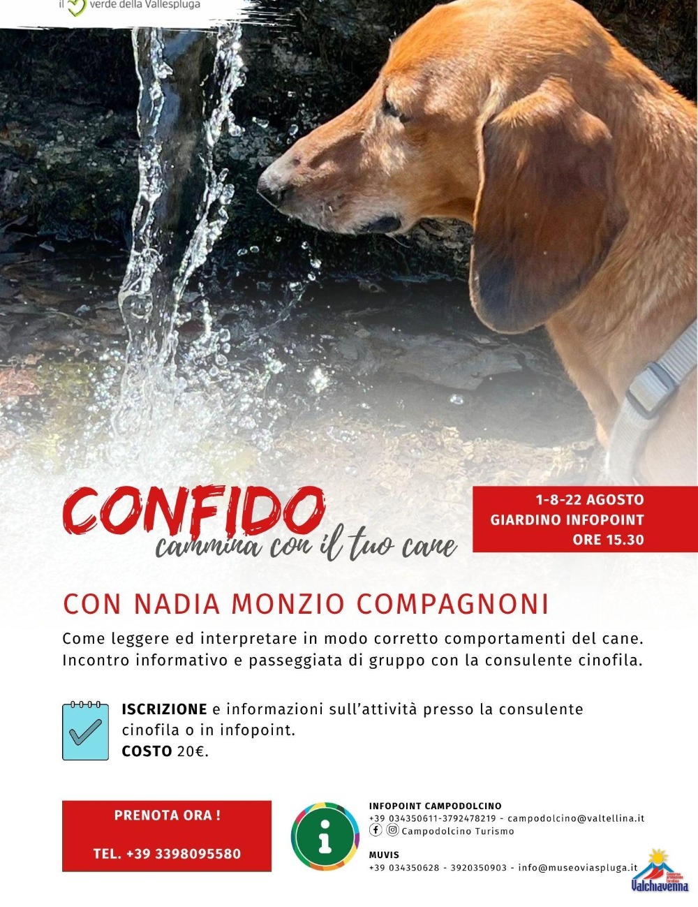 Immagine Evento Confido – Cammina con il tuo cane | Calendario Valtellinese