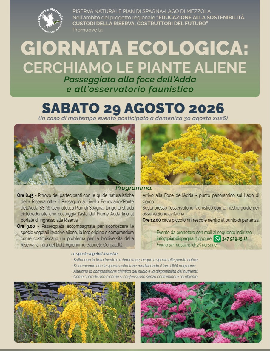 Immagine Evento Giornata ecologica alla Riserva Naturale Pian di Spagna | Calendario Valtellinese