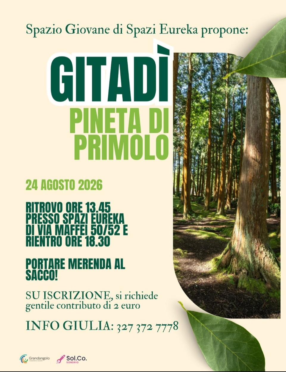 Immagine Evento Gitadì - Gita alla Pineta di Primolo | Calendario Valtellinese