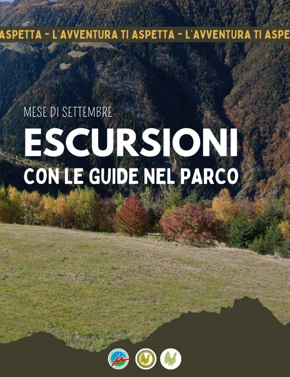 Immagine Evento Escursione con le Guide nel Parco - Tra rocce e laghi sotto lo sguardo della Mezzaluna a Val Gerola | Calendario Valtellinese