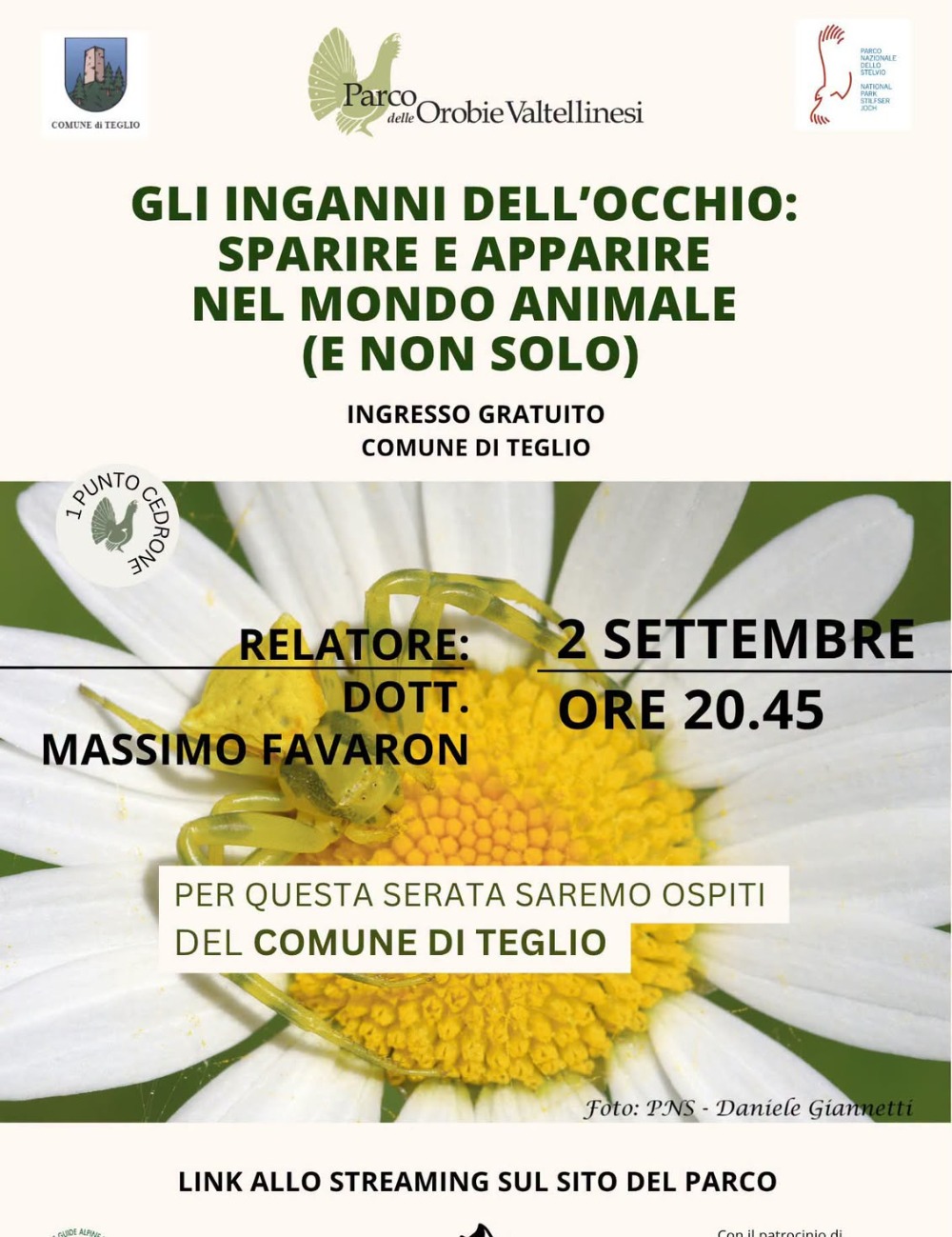 Immagine Evento Gli inganni dell’occhio | Calendario Valtellinese