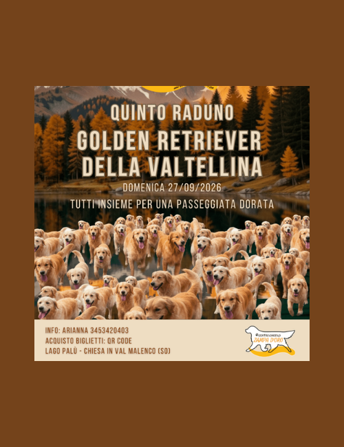 Immagine Evento Quinto Raduno Golden Retriever | Calendario Valtellinese