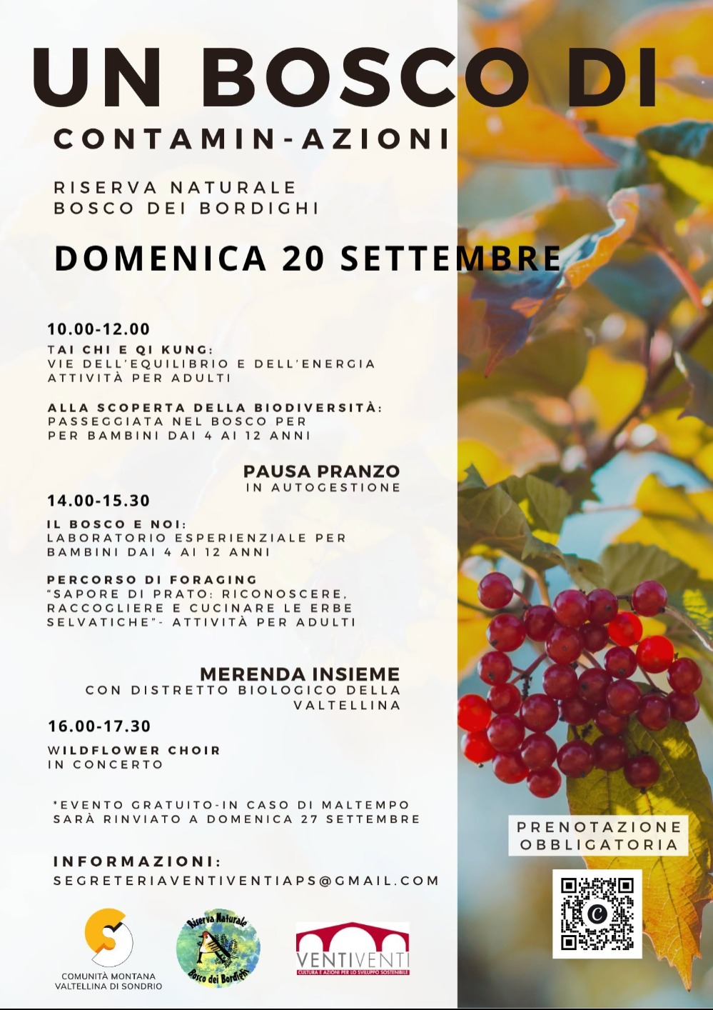 Immagine Evento Un bosco di contamin-azioni | Calendario Valtellinese