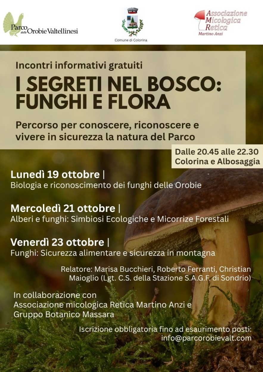 Immagine Evento I segreti nel bosco: funghi e flora | Calendario Valtellinese