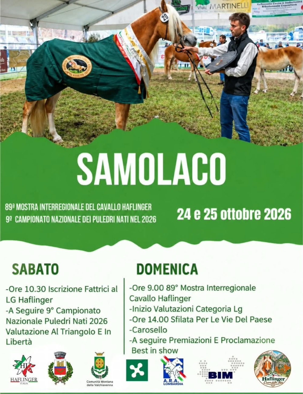 Immagine Evento Mostra Interregionale del Cavallo Haflinger | Calendario Valtellinese
