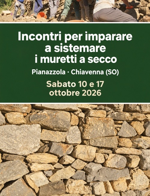 Immagine Evento Incontri per imparare a sistemare i muretti a secco | Calendario Valtellinese