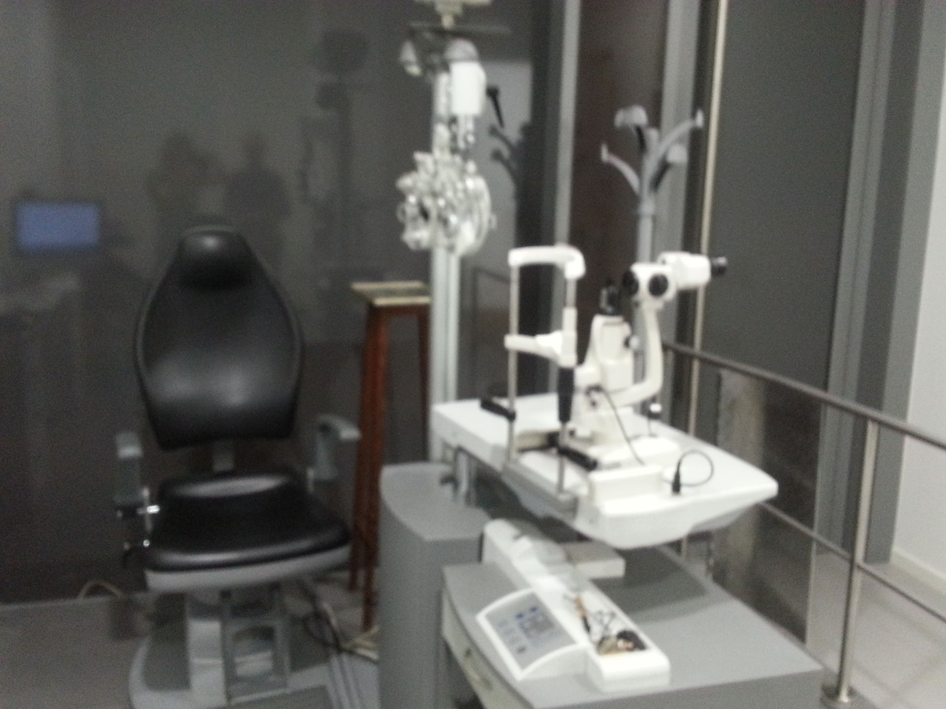 Sono una talpa, chi mi aiuta a Sondrio? | Blog di Valendario Valtellinese